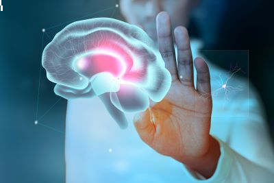Qual o futuro da psicologia cognitiva experimental?